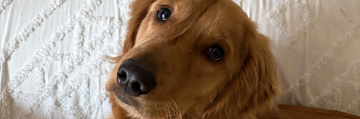 TheMaddog110's profile banner image