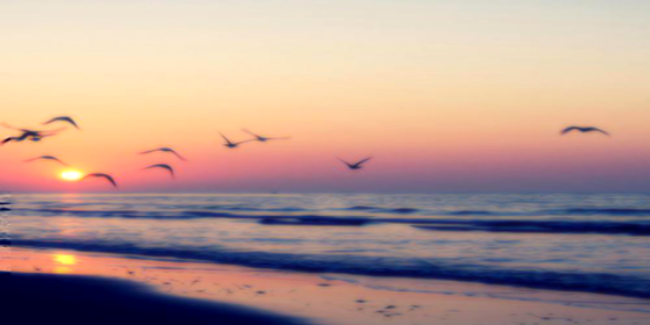 n_breia's profile banner image