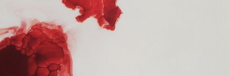 neverokayalone's profile banner image