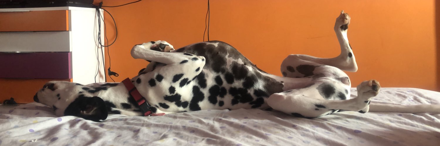 bubblerainy's profile banner image