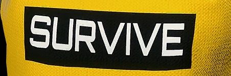 Geira! 🍉 Commiss Open 🇨🇱❤️ banner