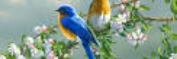 KyLange3 Profile Banner