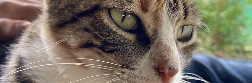 imcruzo90's profile banner image