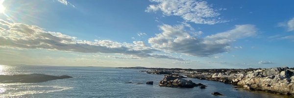 lappy55 Profile Banner