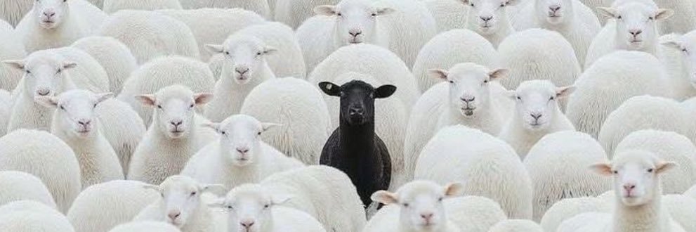 Ray Sheepsingtons III esq banner