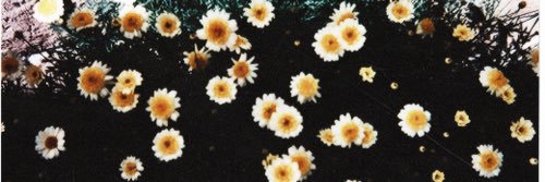 gabby_bedon's profile banner image