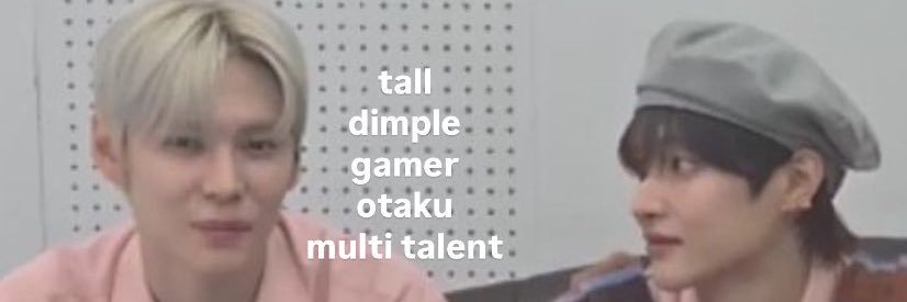 pp ₍^. .^₎⟆ ⭑.ᐟ banner