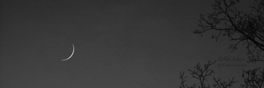 vain_start's profile banner image