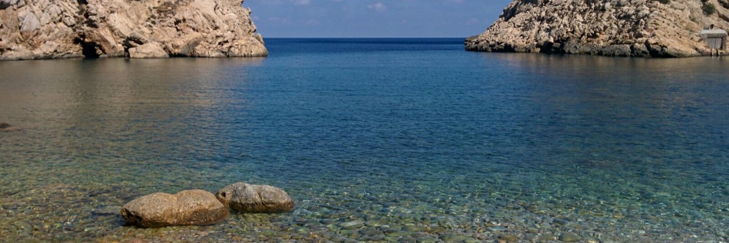 Ana Margarida Fontes banner