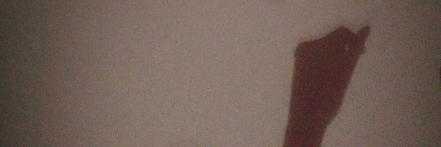NGSLin99's profile banner image