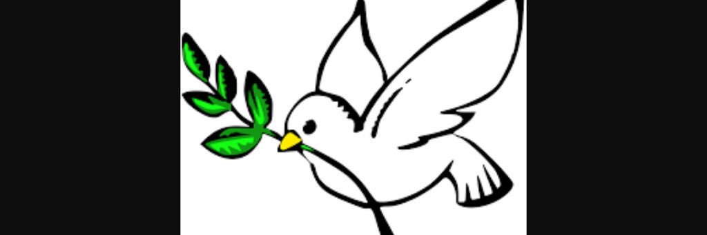 NeedsMusts's profile banner image