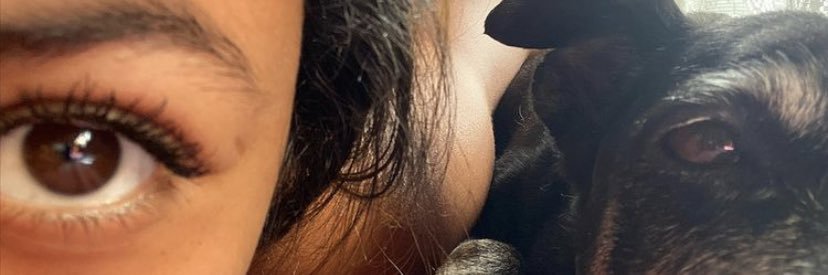 plamdds's profile banner image