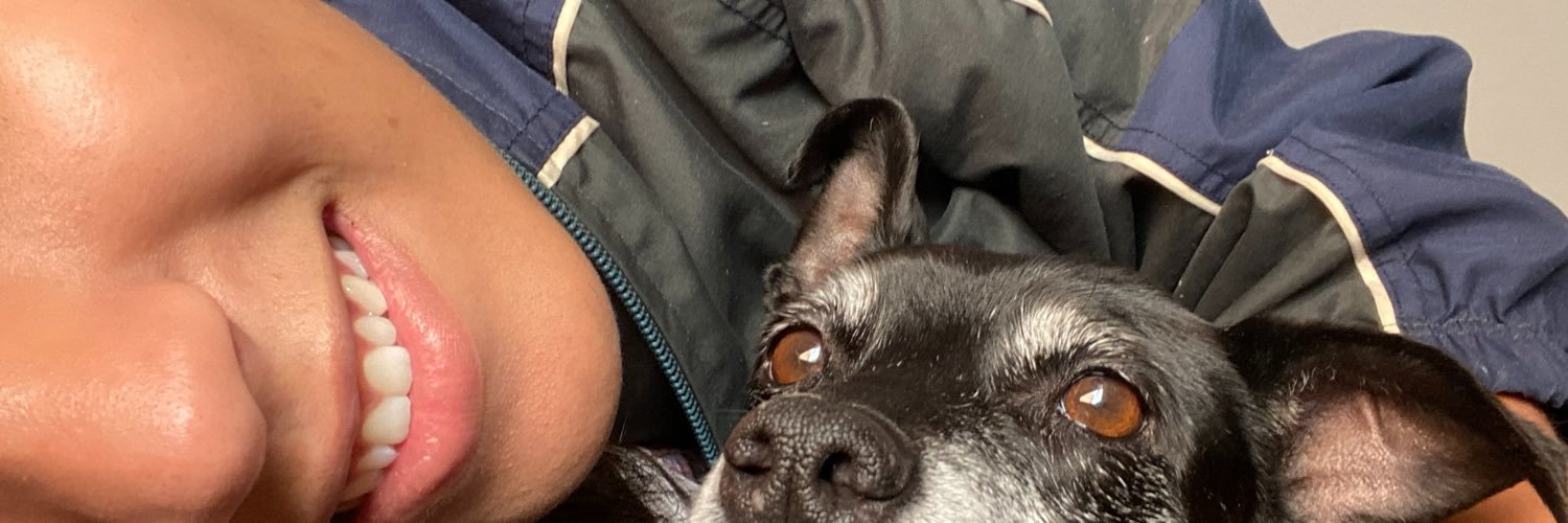 plamdds's profile banner image