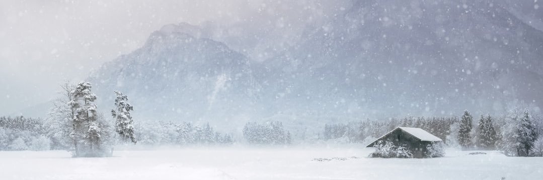 liloeskimo's profile banner image