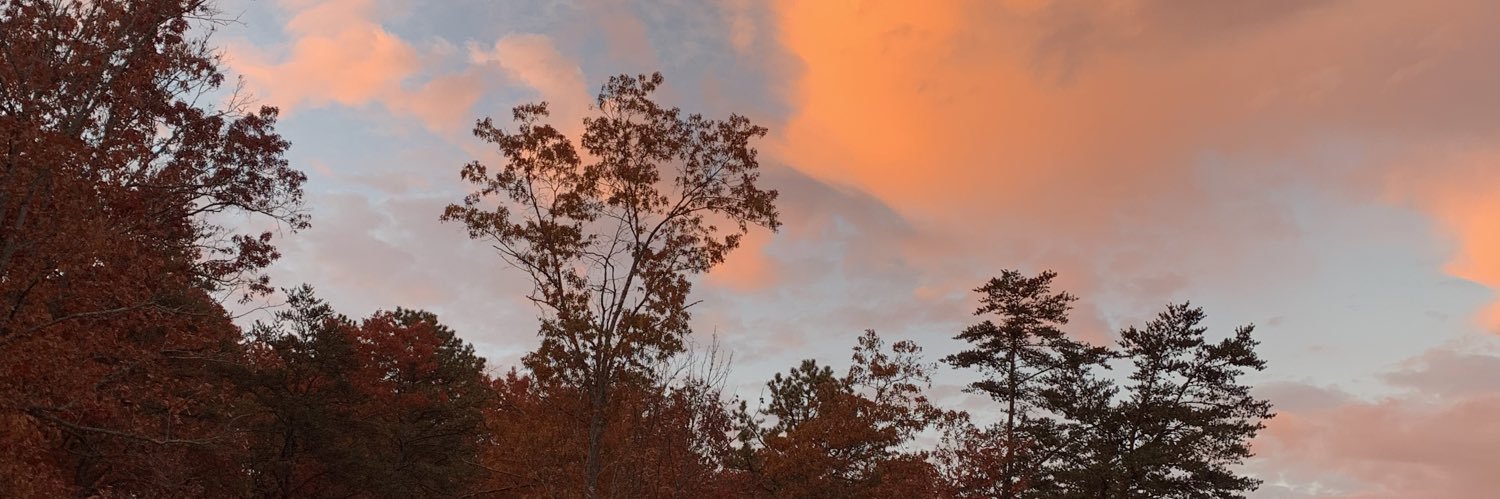 Dannette Gomez Beane banner