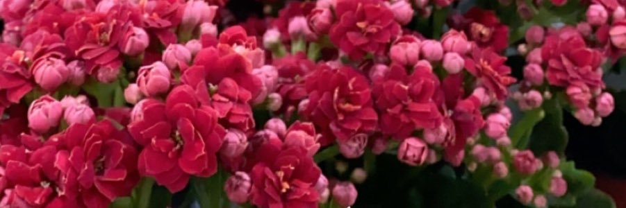 toota_92t's profile banner image