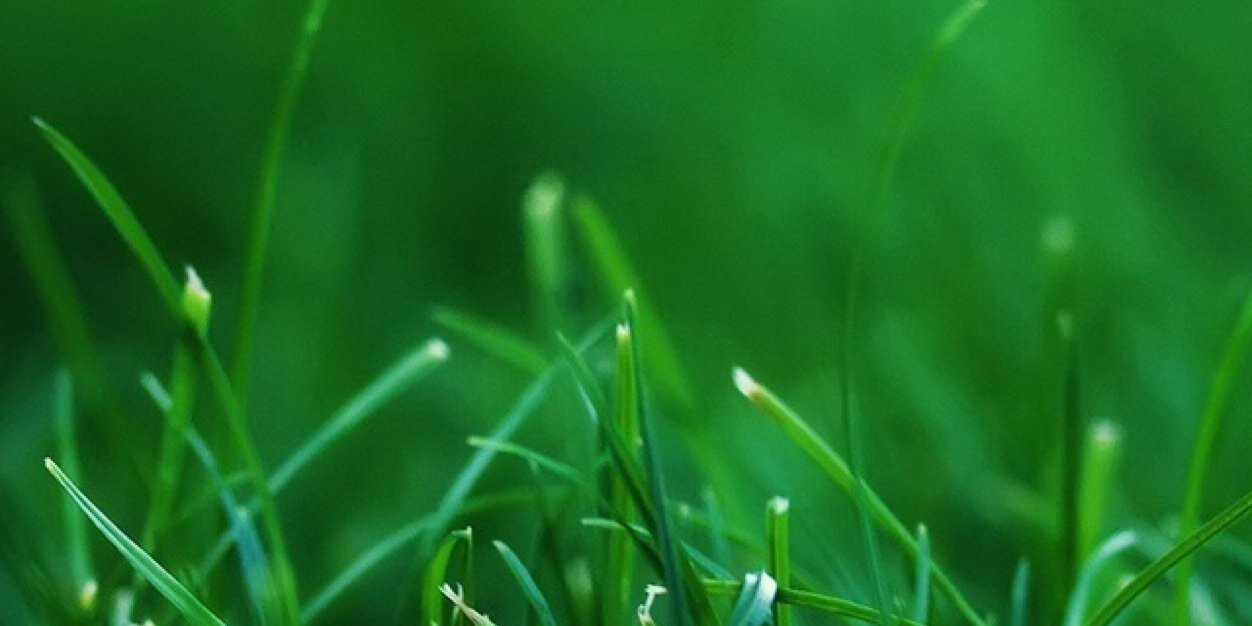 adinugrahas's profile banner image