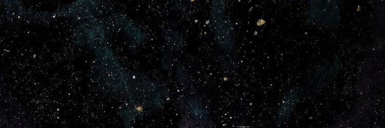 x__lexii's profile banner image