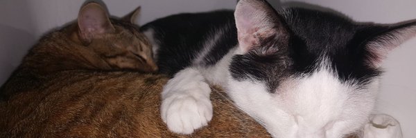 RedLimeRL Profile Banner