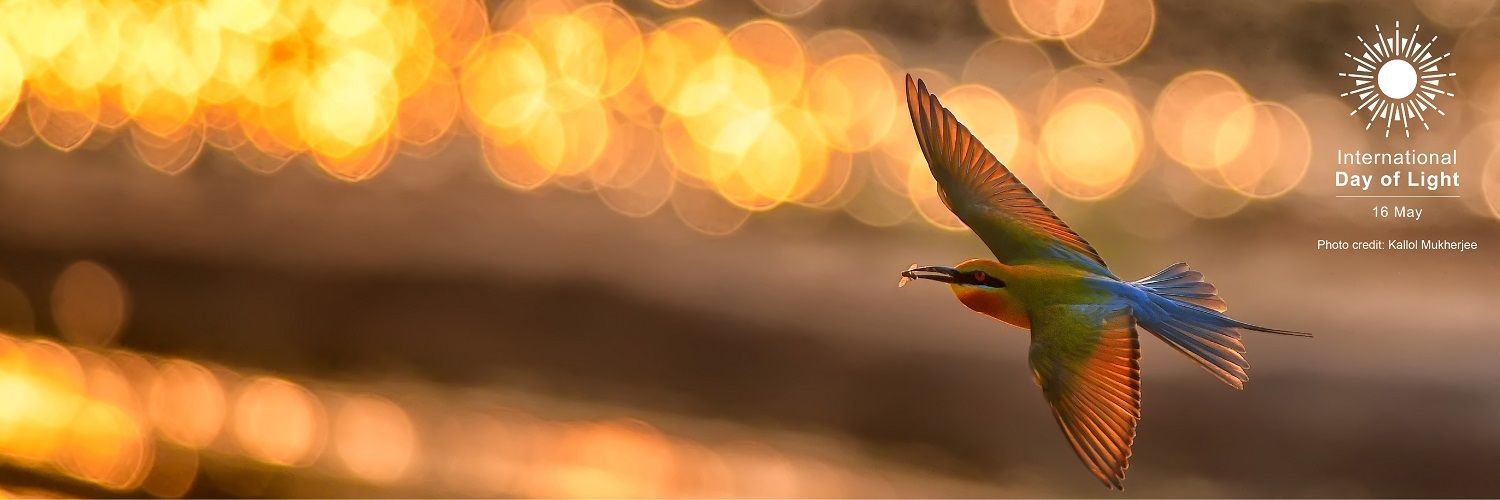 Alessandra Carmichael-Martins banner