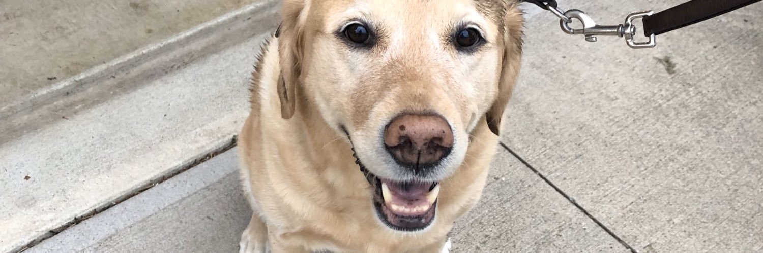 Josh Foreman is closed to queries banner