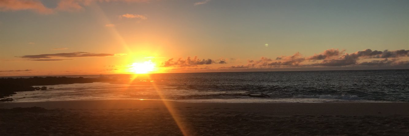 whitneyeddy02's profile banner image