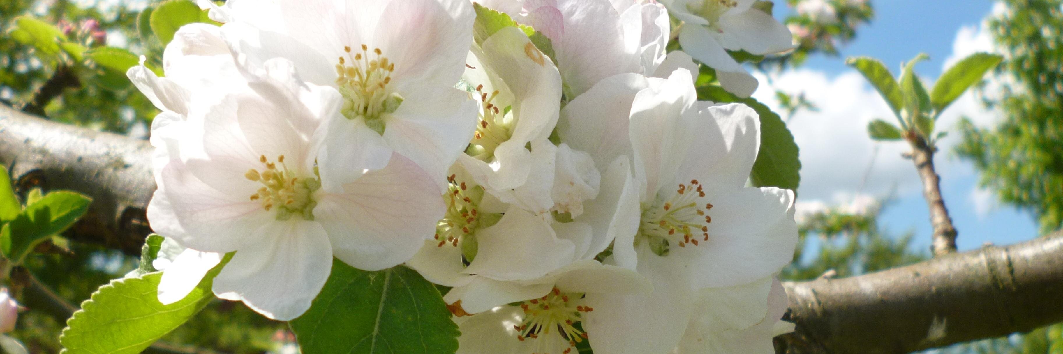 b03062010's profile banner image