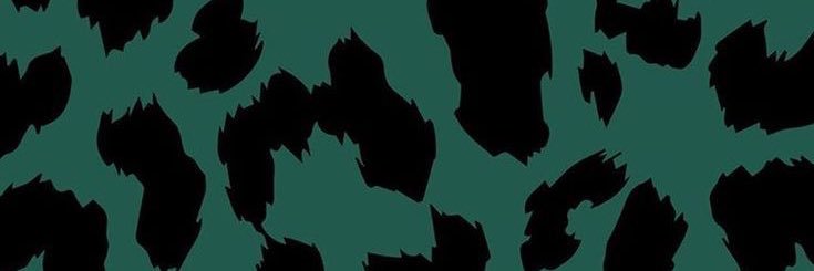 allisonowenss's profile banner image