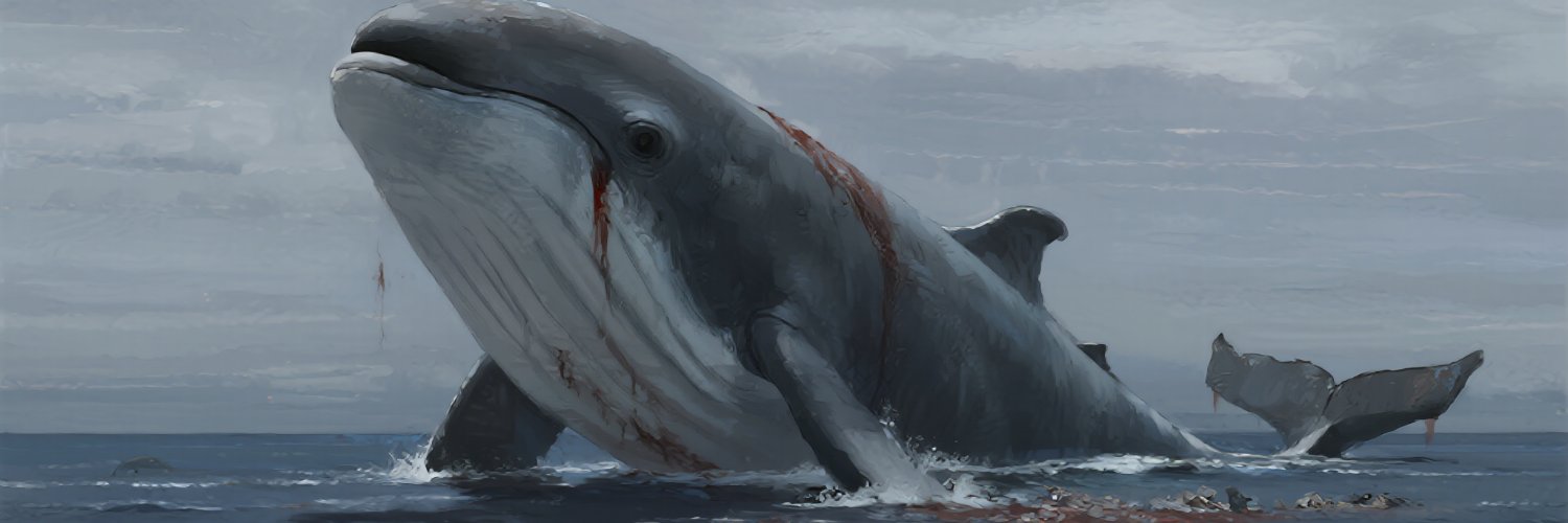 OceanTse's profile banner image