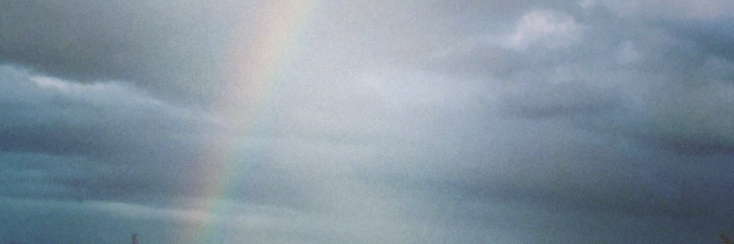 Deborah_Gecko's profile banner image