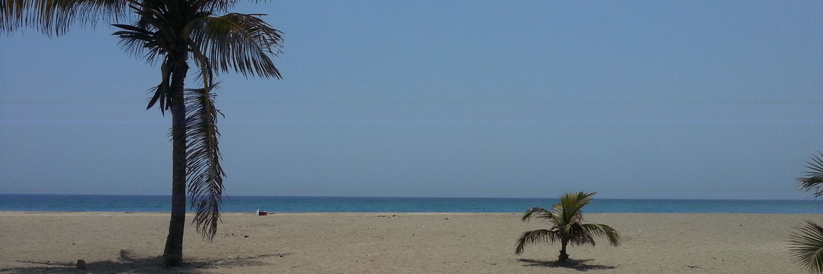 luisa marcano banner