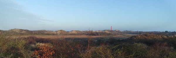 simuellers Profile Banner