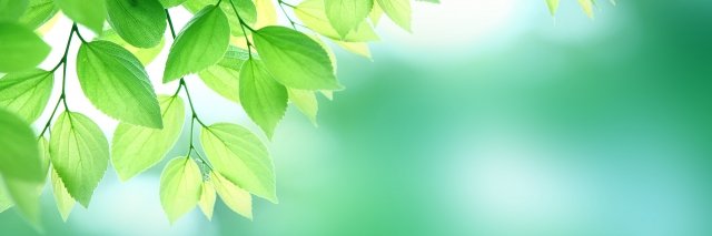 marumemama's profile banner image