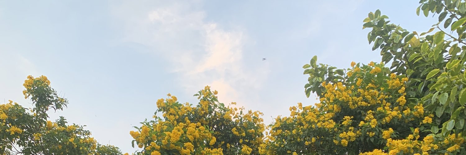 annaoxanae's profile banner image