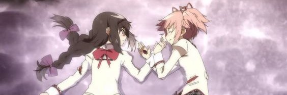 not a lesbo banner