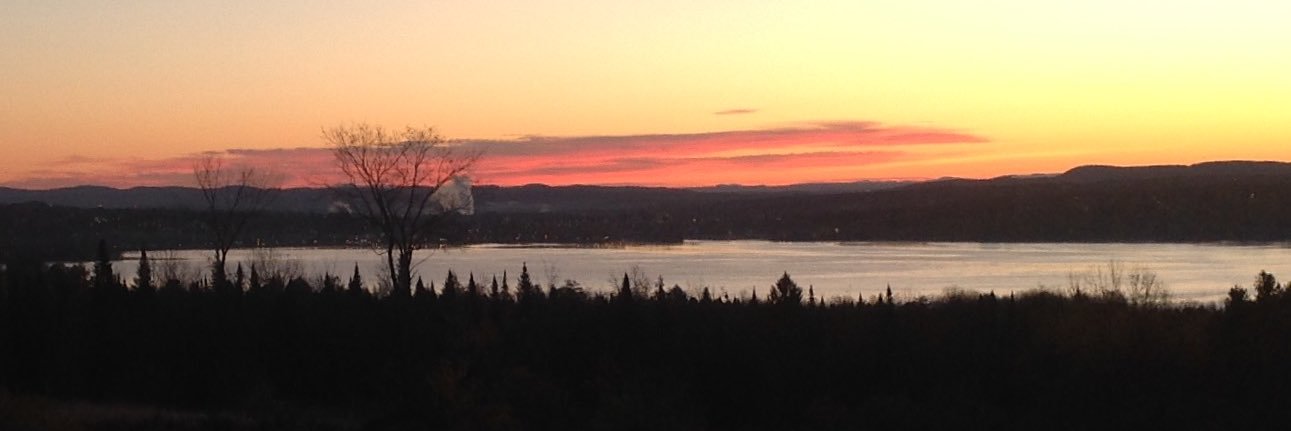 Danie Beliveau banner