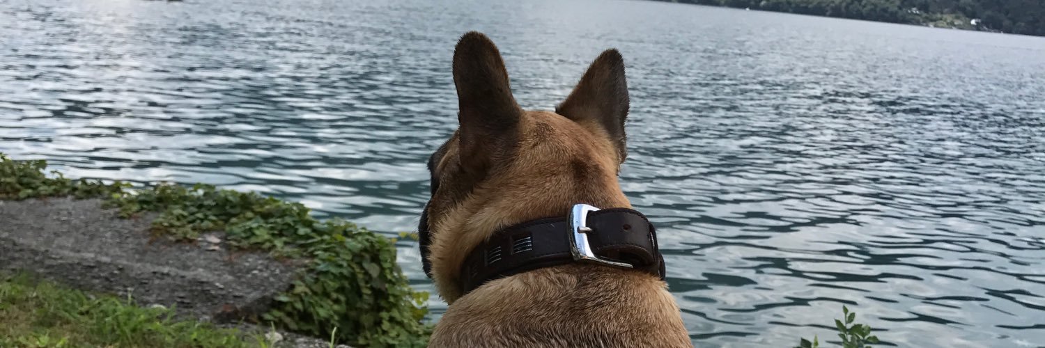 Monsterrrtje's profile banner image