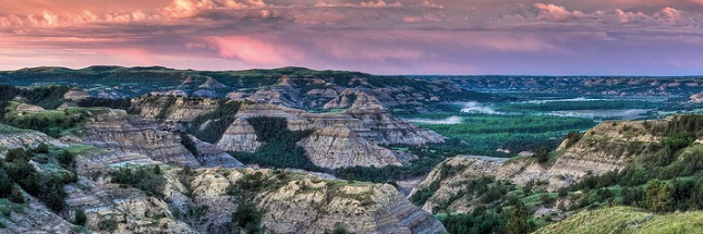 Michael Greenwood banner