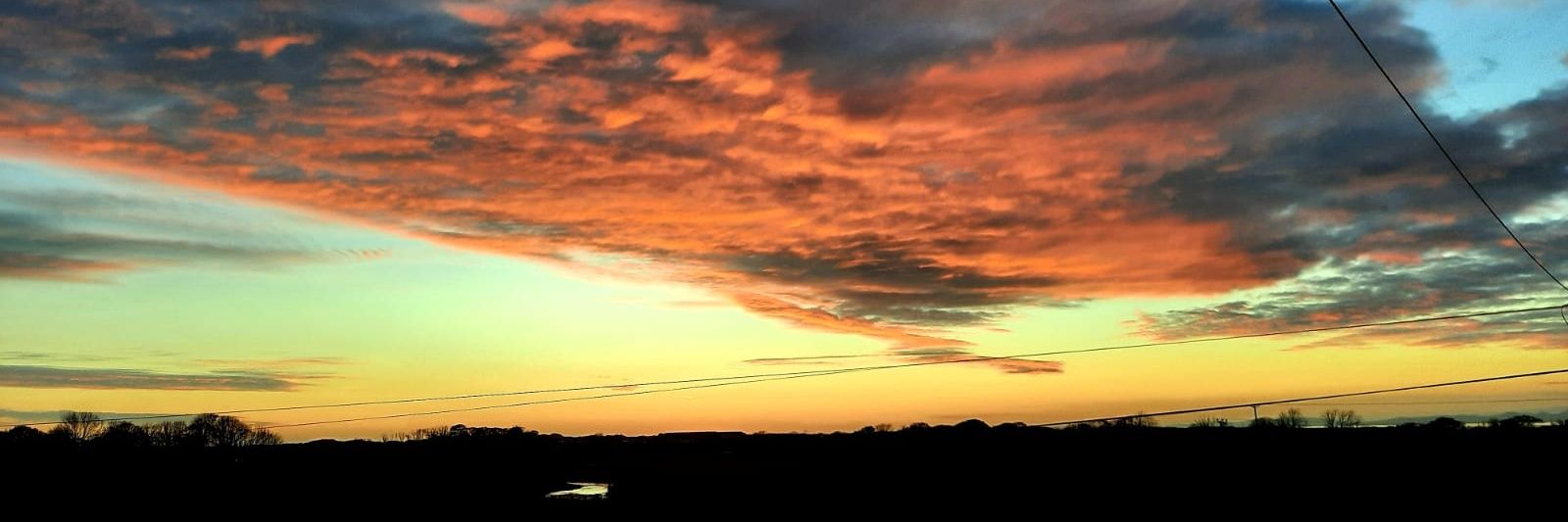 His Serene Highness, SelFelin banner