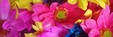 judithtobea's profile banner image