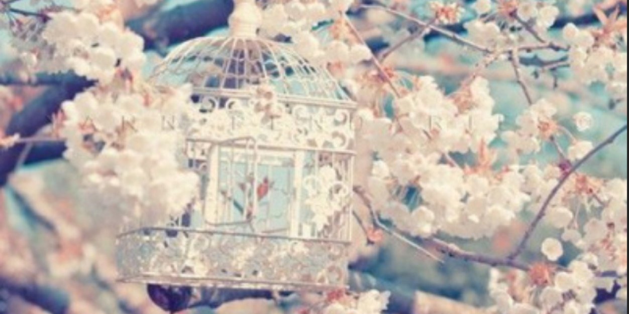 HarrietteJP's profile banner image