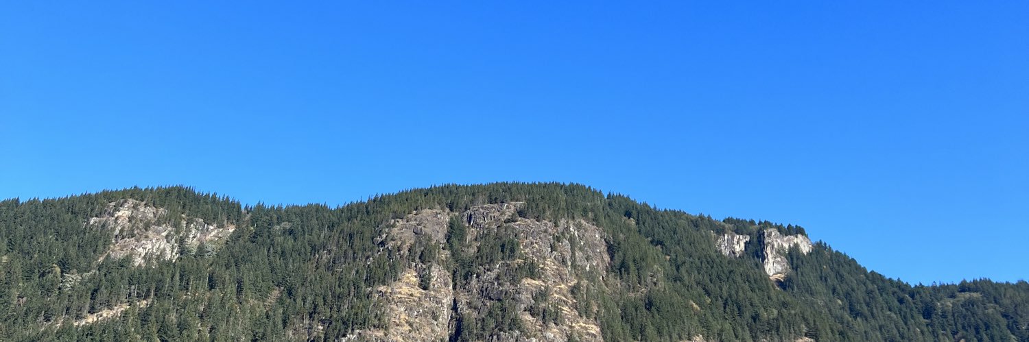 spiritpercyravenbird banner