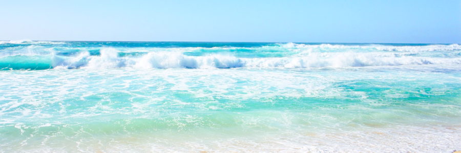 Courtney Bailey banner