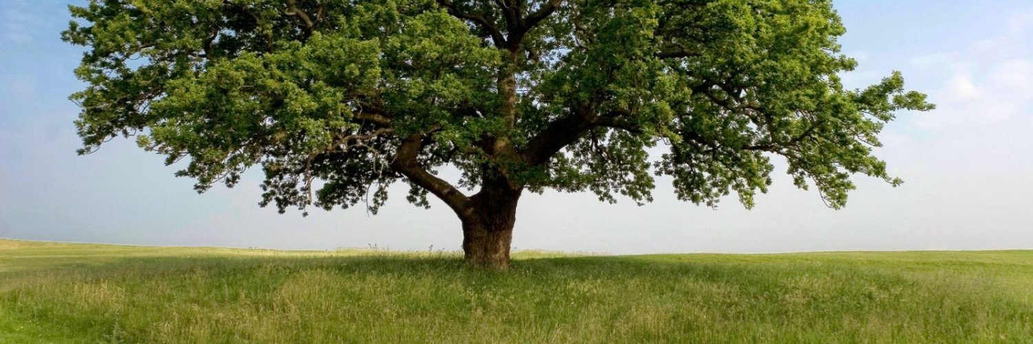 MFoundation1b1's profile banner image
