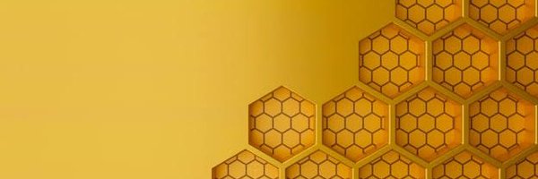 PatyBosch Profile Banner