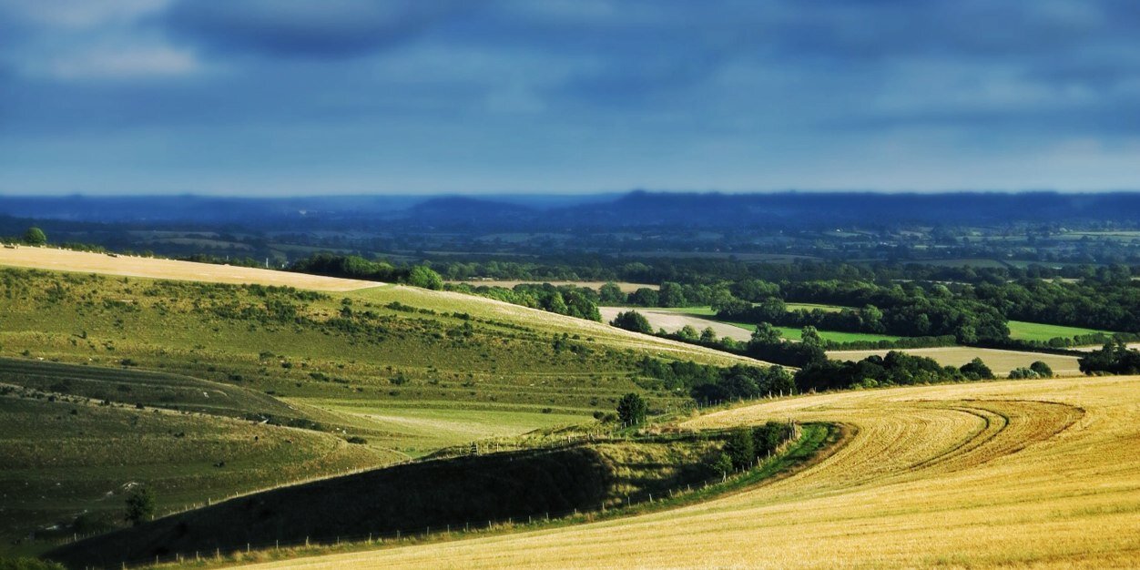 willedkins's profile banner image