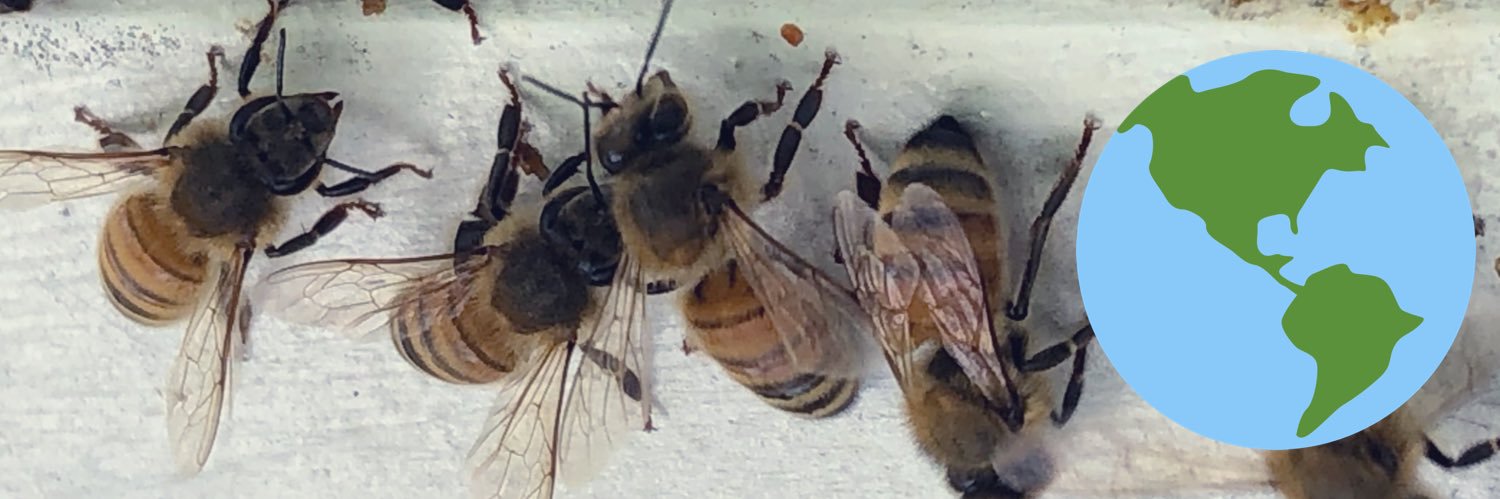 Dr. Hongmei Li-Byarlay @libyarlaybeedr.bsky.social banner