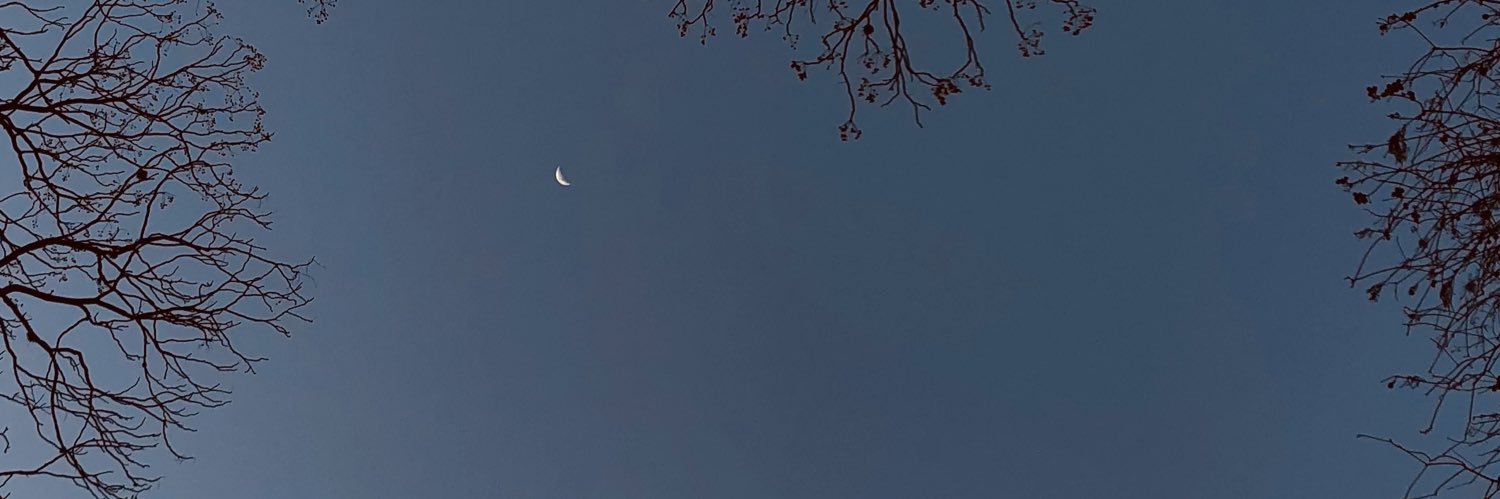 Cata_torresan's profile banner image