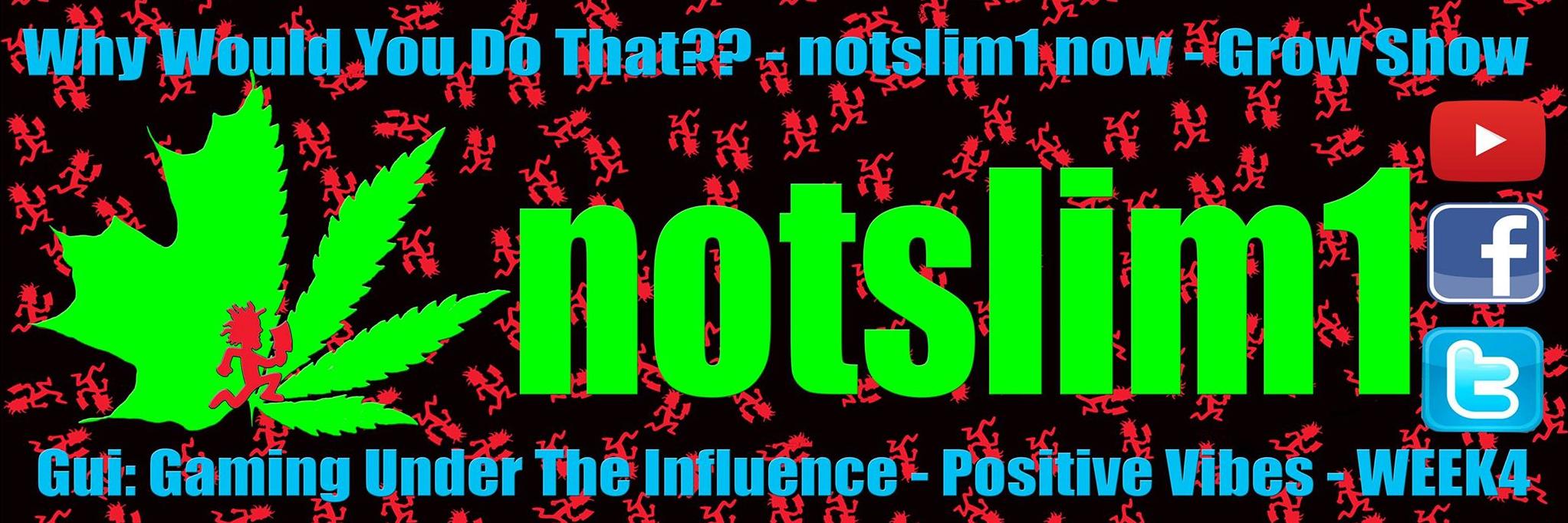 notslim1's profile banner image