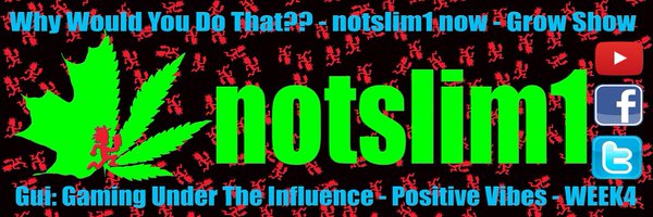 notslim1 Profile Banner